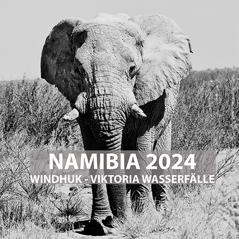 Link zum Reiseblog Namibia 2024